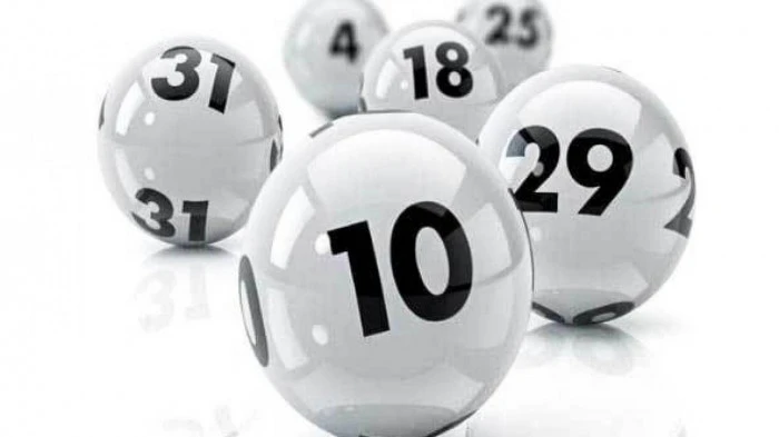 Khám Phá Thế Giới E88: Từ E88 Bobcat Đến Casino Trực Tiếp